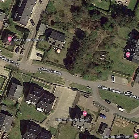 Strandiris Wenningstedt-Braderup