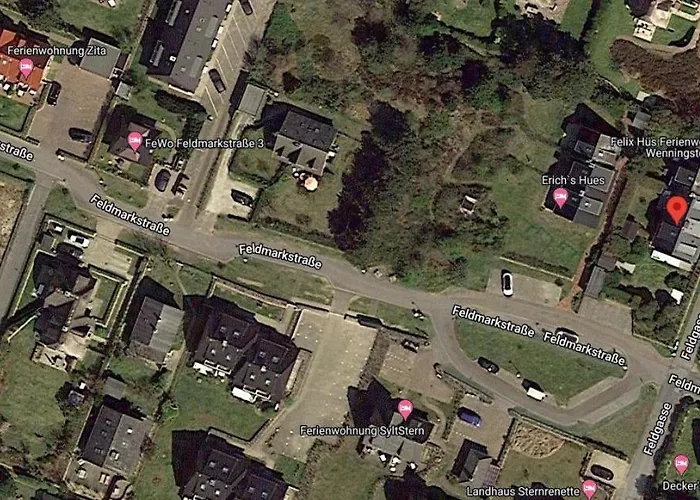 Strandiris Wenningstedt-Braderup